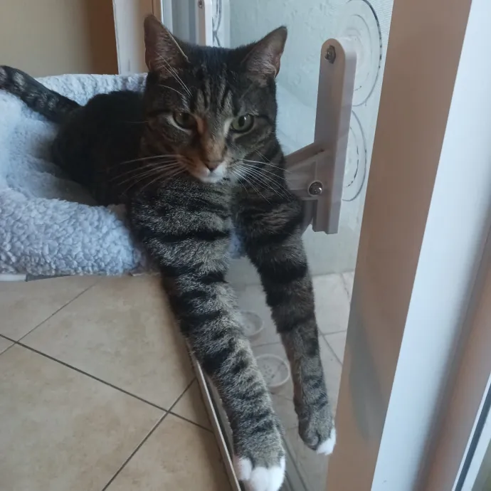 I'll Take Good Care Of Your Furry Friend