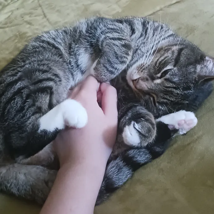 I'll Take Good Care Of Your Furry Friend