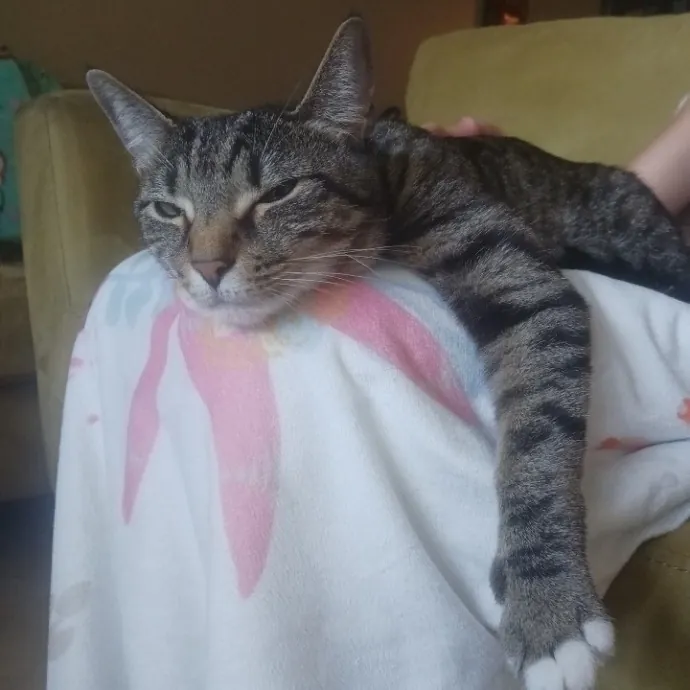I'll Take Good Care Of Your Furry Friend