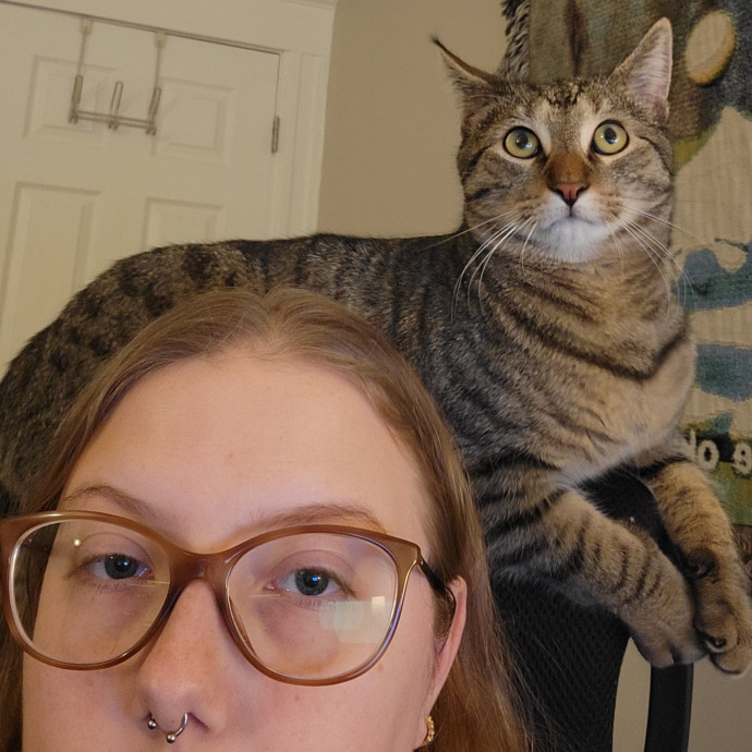 Lydia's Luxury Cat Care