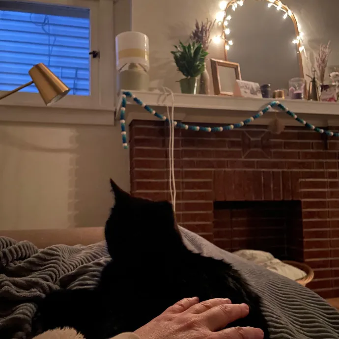 Compassionate Cat Caretaker