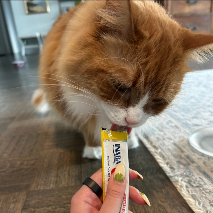Loving Cat Mom And Sitter