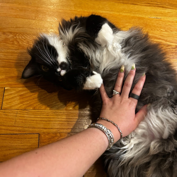 Loving Cat Mom And Sitter