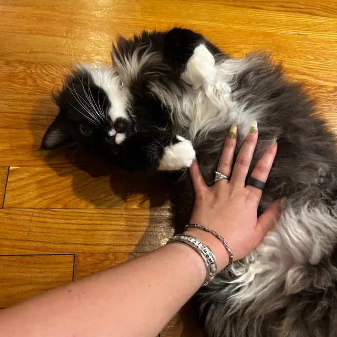 Loving Cat Mom And Sitter
