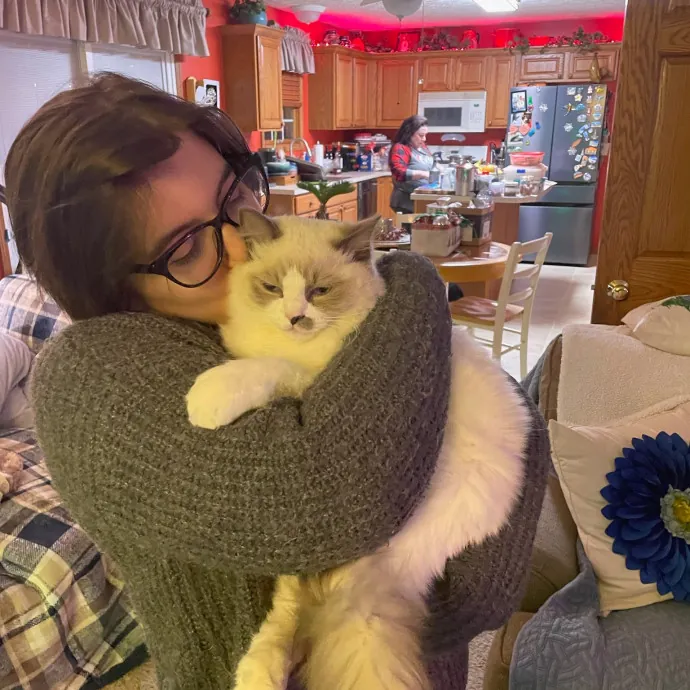 Laura J's Chicago Cat Care