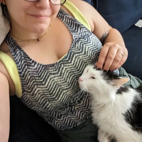 Laura J's Chicago Cat Care