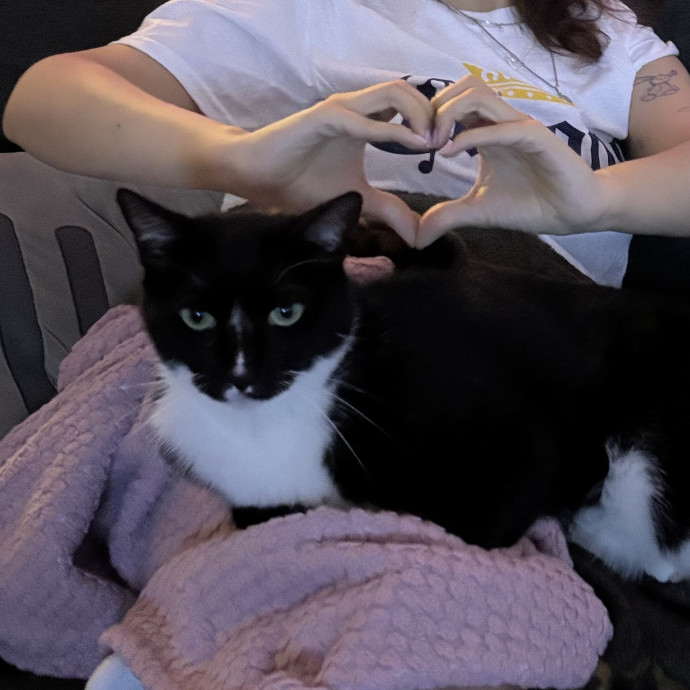Cat Lover By Day Cat Lover By Night