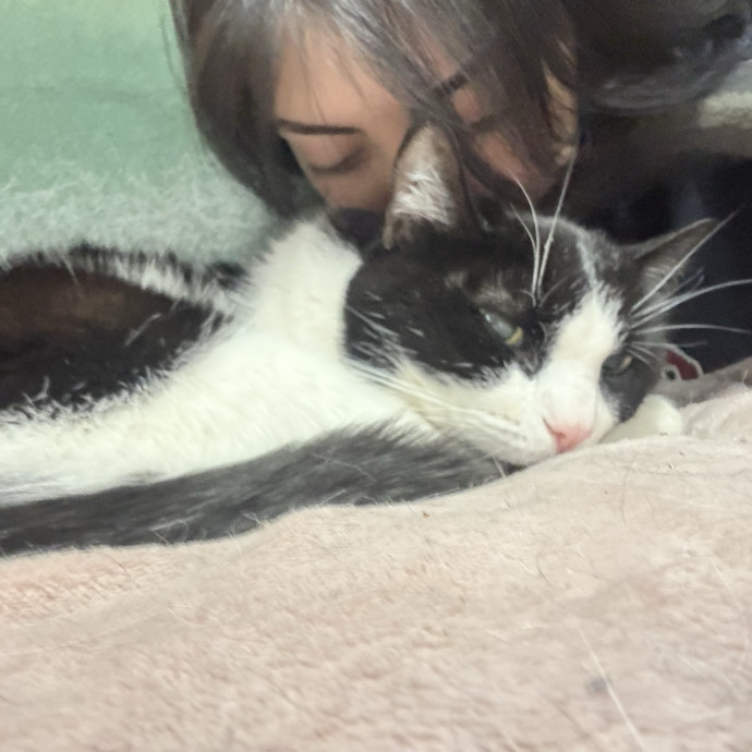 Cat Lover By Day Cat Lover By Night photo 2