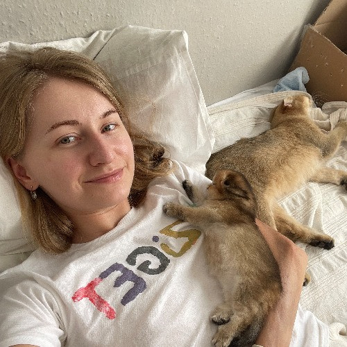 Anastasia's Kitty Concierge photo 3