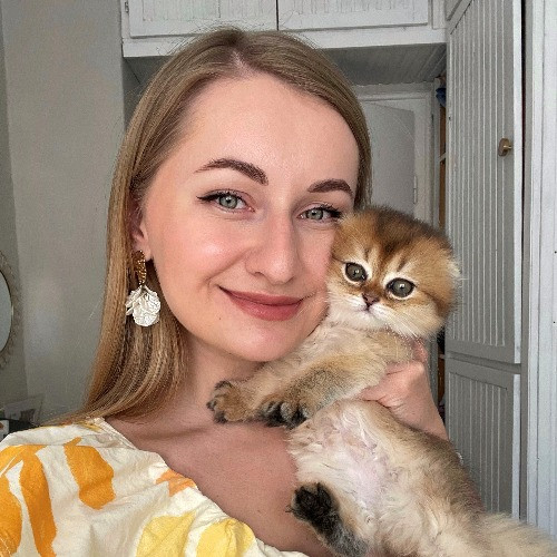 Anastasia's Kitty Concierge photo 2