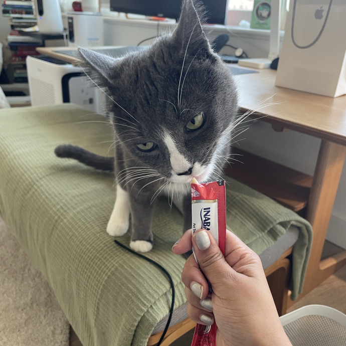 Diana's Cat Care