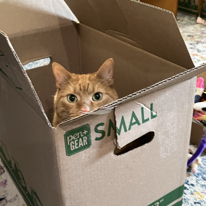 Treating Your Cats Like Family