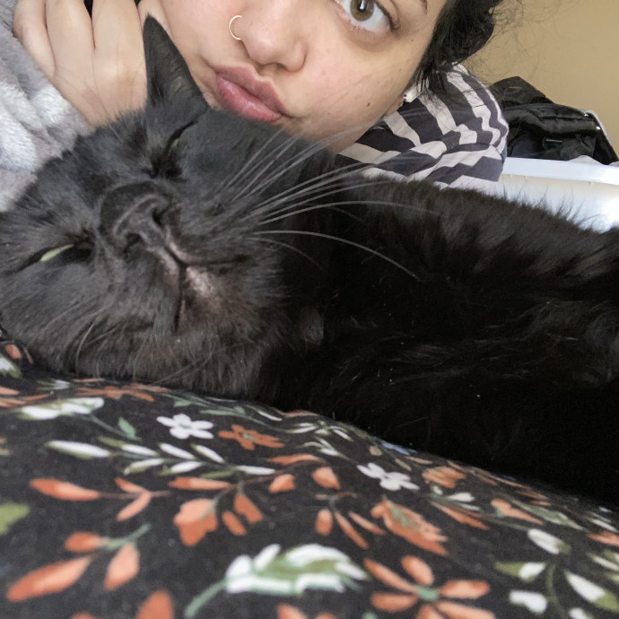 Fellow Cat Mom To Watch Your Babies photo 2