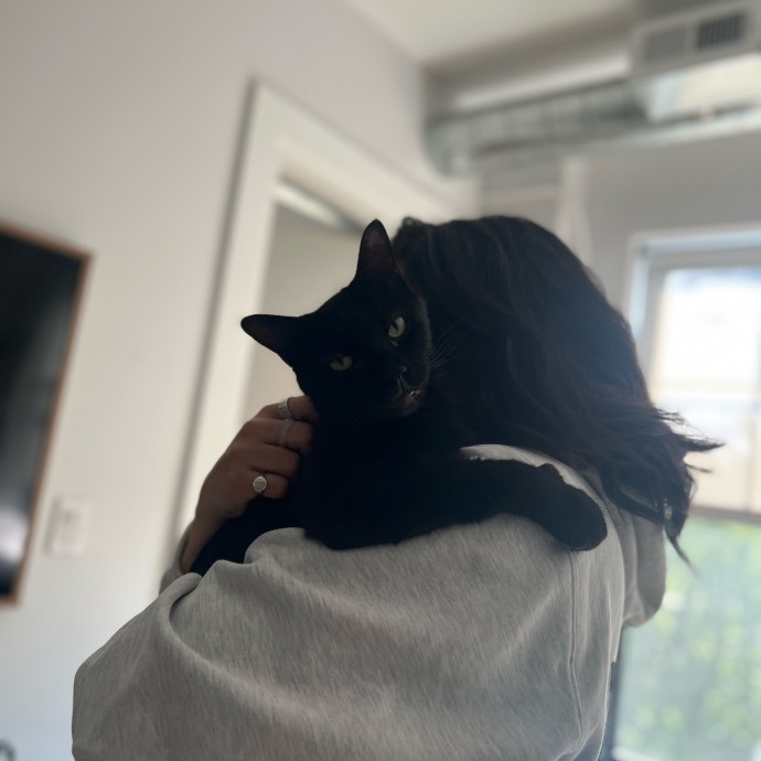 Loving Care From Your Local Cat Pal