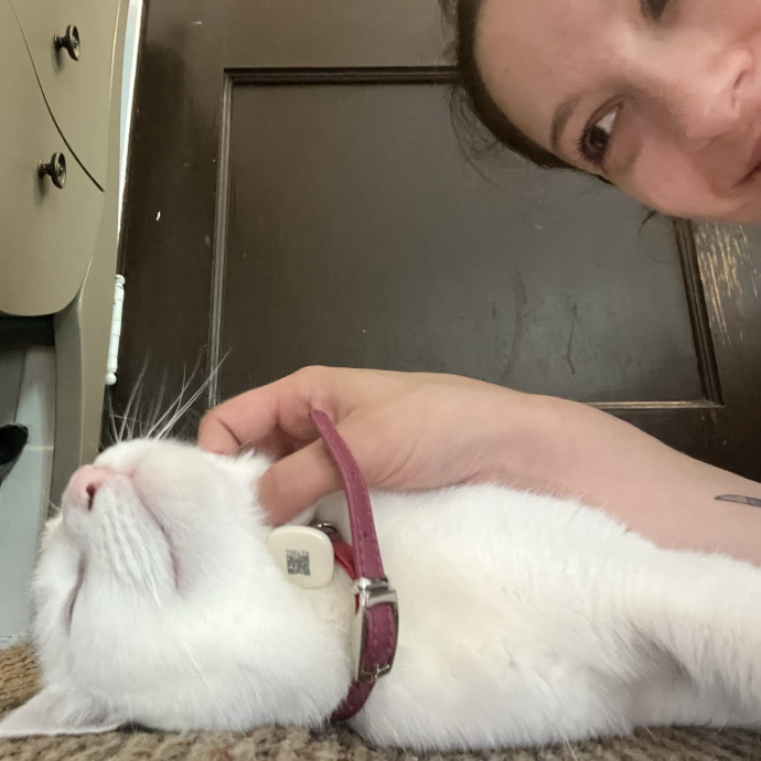 Loving Care From Your Local Cat Pal