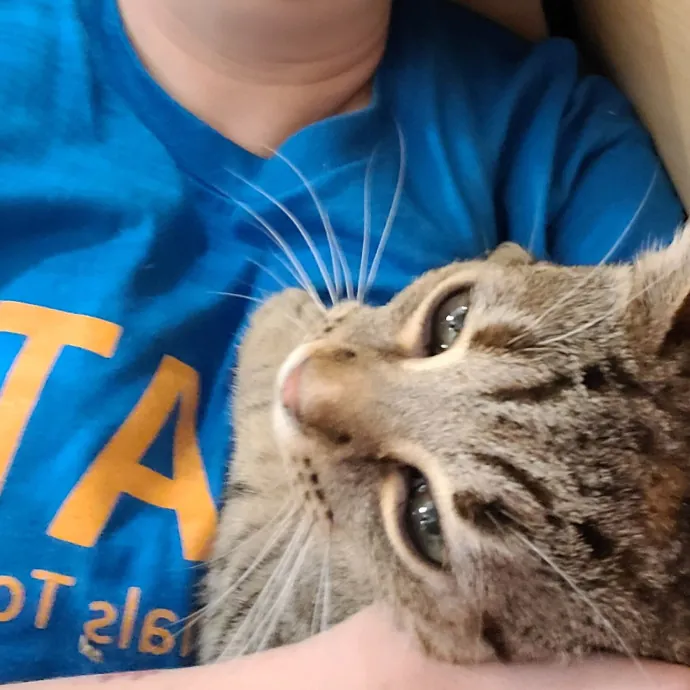 Dobby's Den For Grimalkins