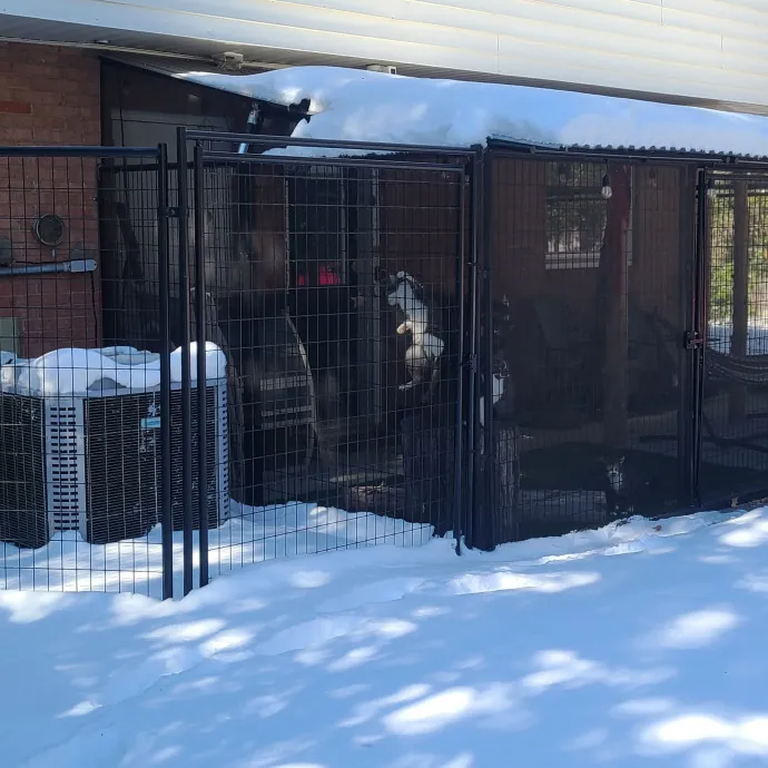 Dobby's Den For Grimalkins