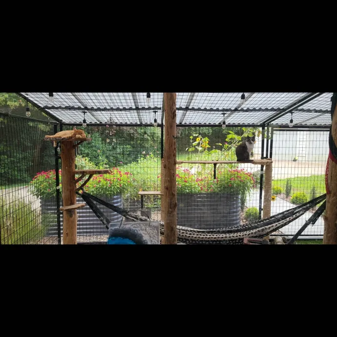 Dobby's Den For Grimalkins