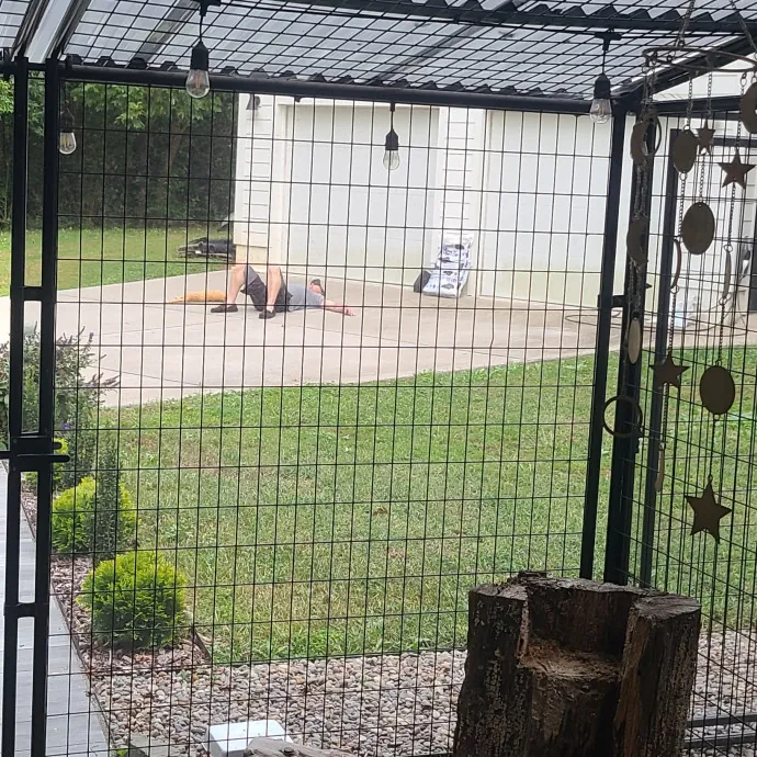 Dobby's Den For Grimalkins