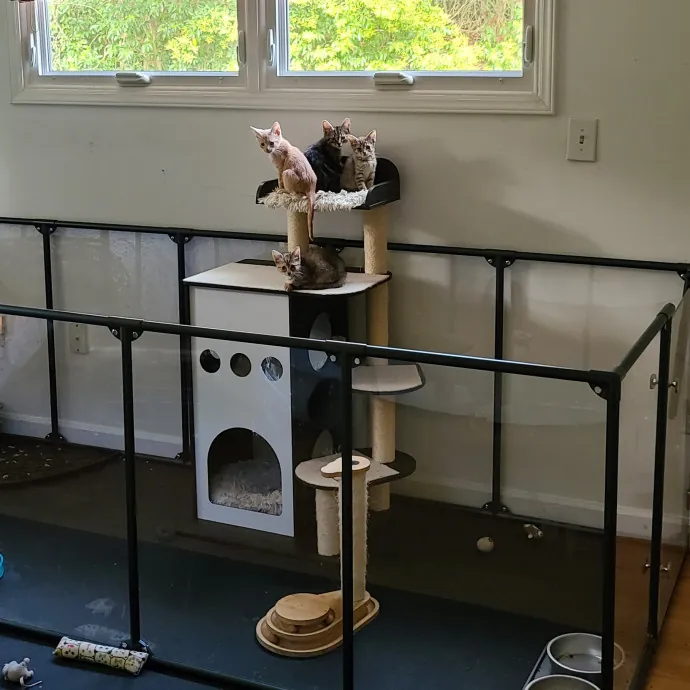 Dobby's Den For Grimalkins