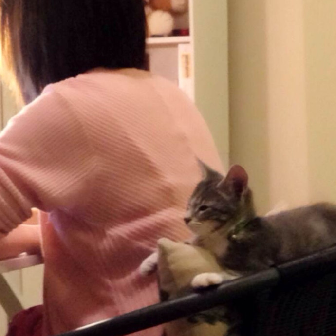 New In Town - Reliable Friendly Sitter