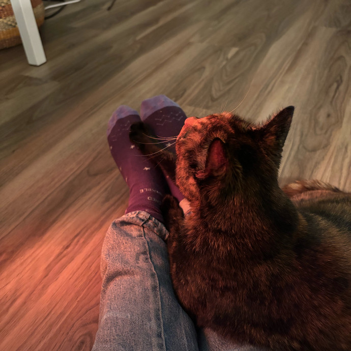 Halle's Kitty Care