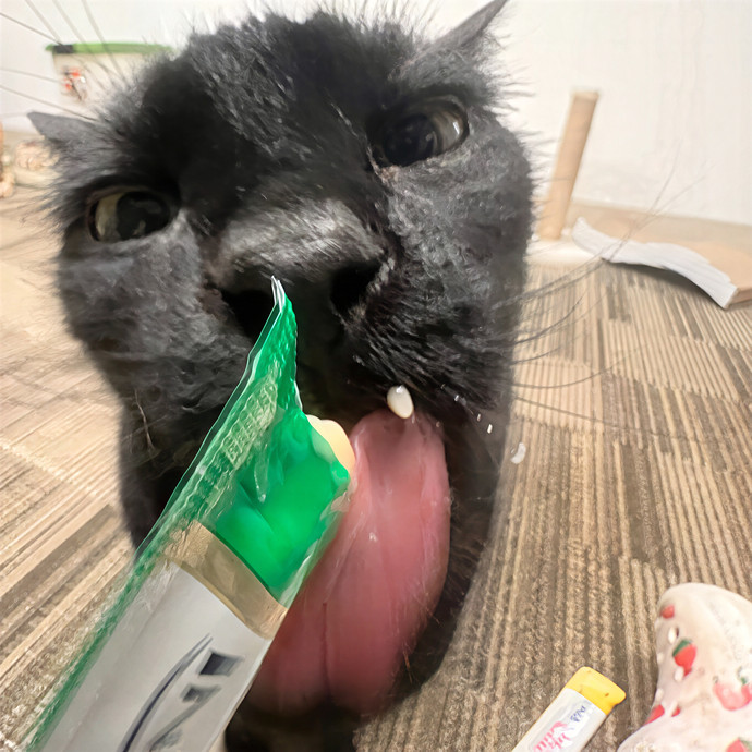 Bebe's Furry Friends Prof Cat Care