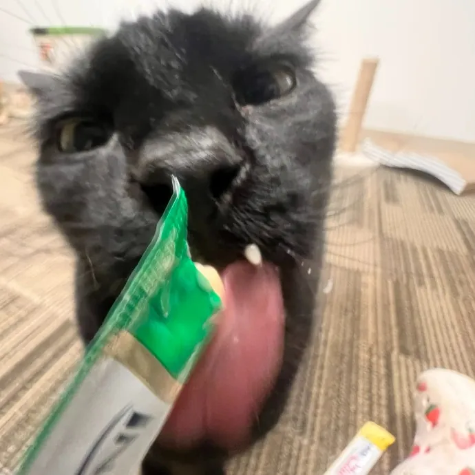 Bebe's Furry Friends Prof Cat Care