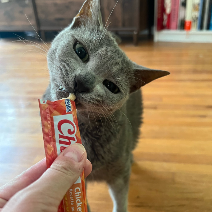 Bebe's Furry Friends Prof Cat Care