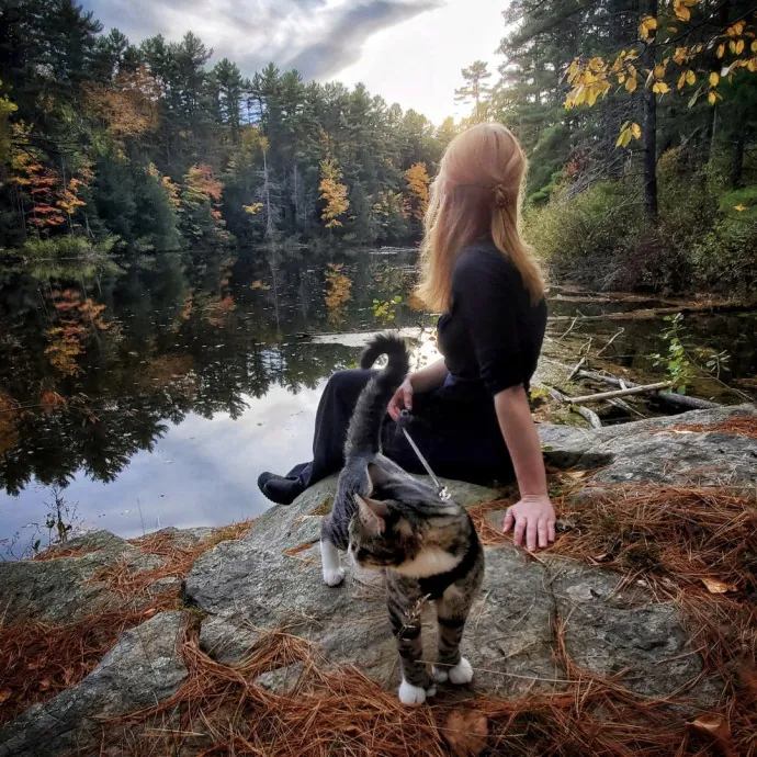 Cat Care In And Around Newmarket Nh
