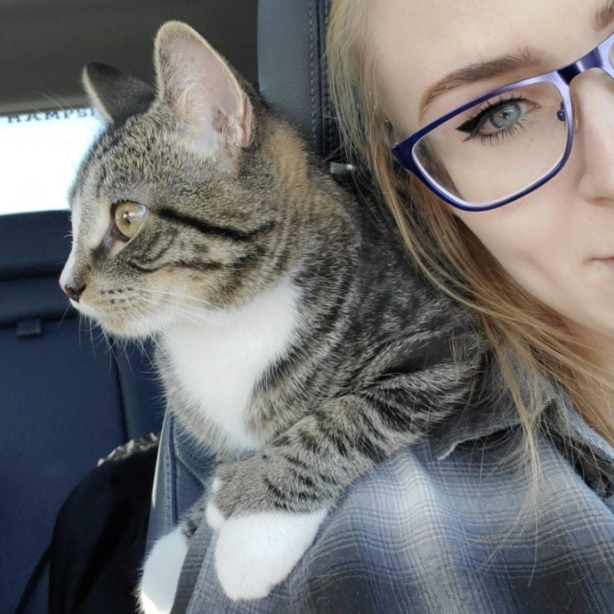 Cat Care In And Around Newmarket Nh