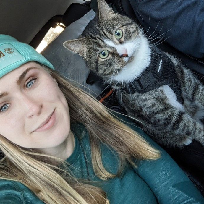Cat Care In And Around Newmarket Nh