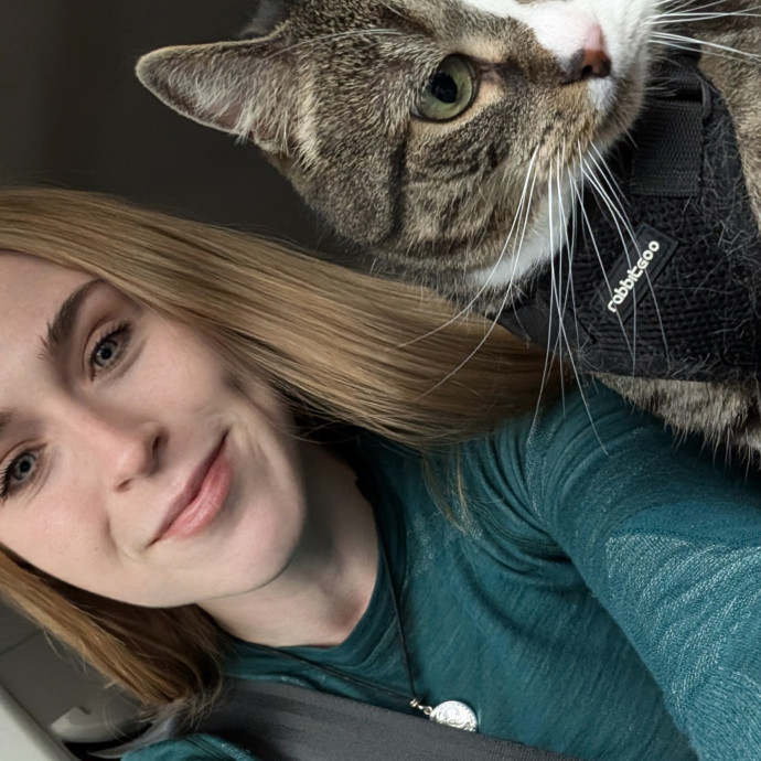 Cat Care In And Around Newmarket Nh photo 2