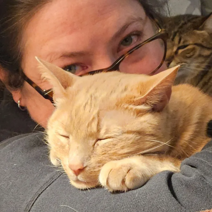 Anchoraged In Affection Kitty Care