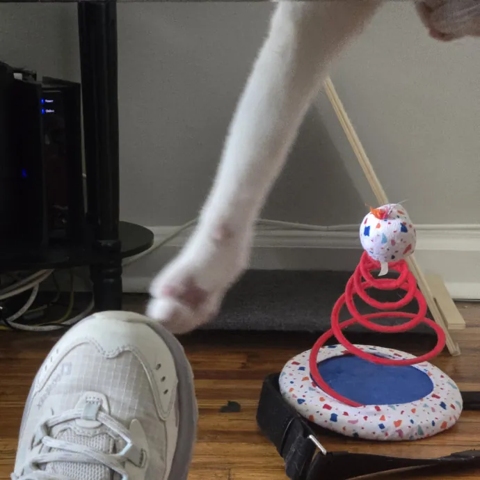 Endless Fun And Pawsibilities