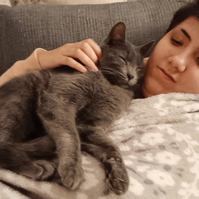 Kay's Comfy Kitties