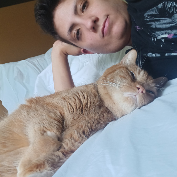 Kay's Comfy Kitties