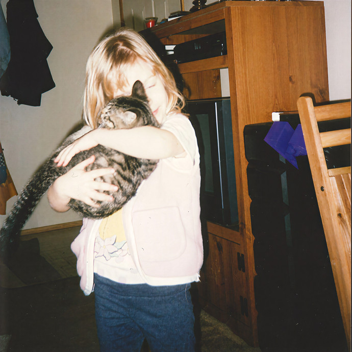 Gifted Intuitive Cat Companion