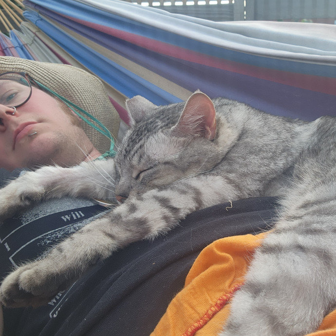 Gifted Intuitive Cat Companion