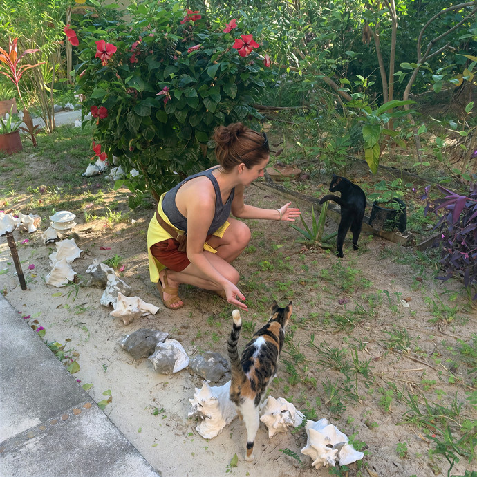 Ali-Catlady - Central Ma Cat Sitter