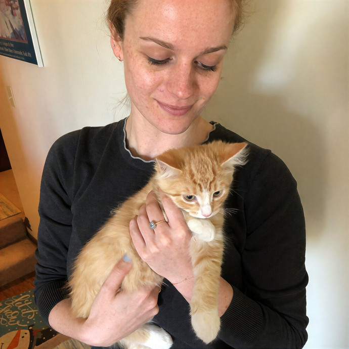 Ali-Catlady - Central Ma Cat Sitter photo 2