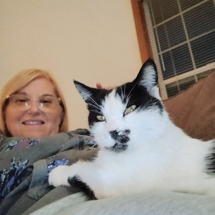The Royal Kitty Kingdom Pet Sitting