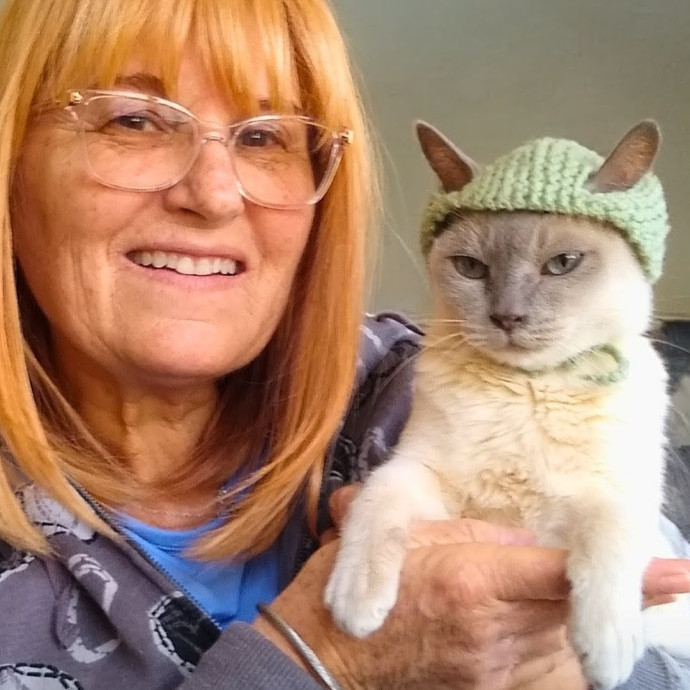 The Royal Kitty Kingdom Pet Sitting