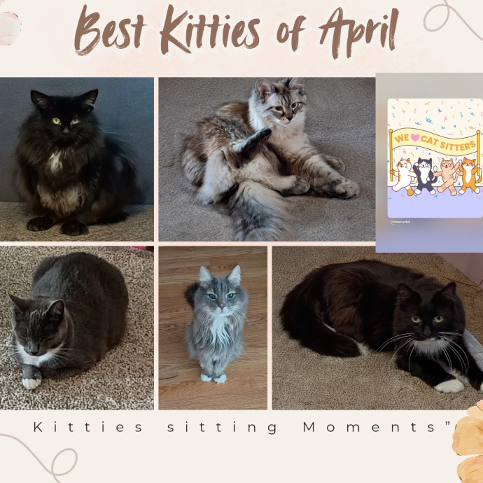 The Royal Kitty Kingdom Pet Sitting