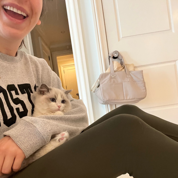Lifelong Kitty Lover And Cat Mom photo 2