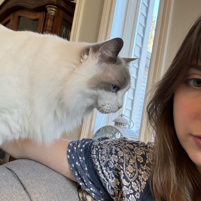 Curious Cat Co