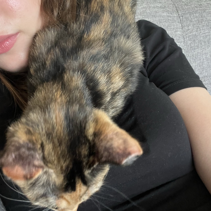 Curious Cat Co photo 3