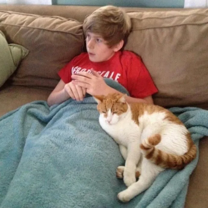 Reliable Cat Sitter  Drop-In Care