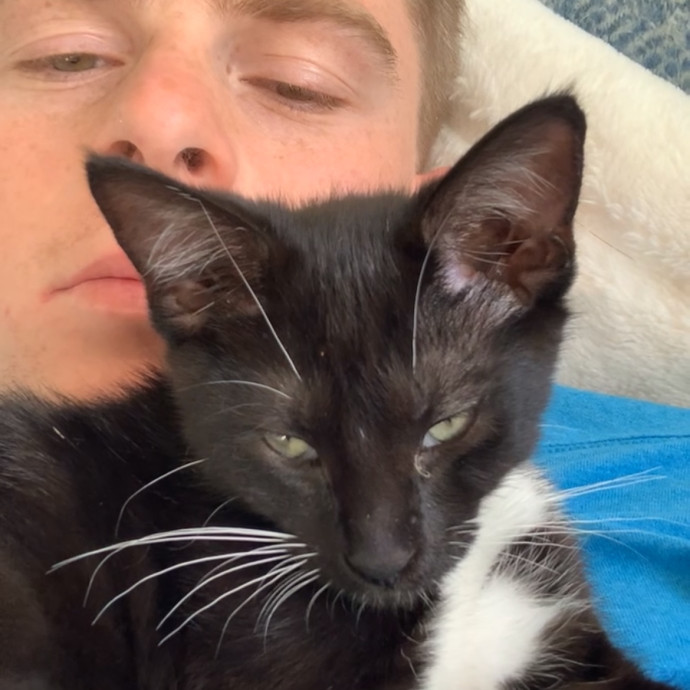 Reliable Cat Sitter  Drop-In Care