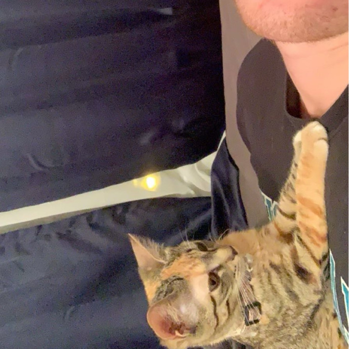 Reliable Cat Sitter  Drop-In Care photo 3